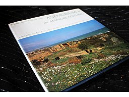 ANEMURIUM & DIE MAMURE FESTUNG - Vehbi Uysal