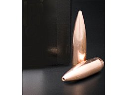 1000 Nosler Geschosse .308, 168 grain, Custom Competition, HPBT, NEU