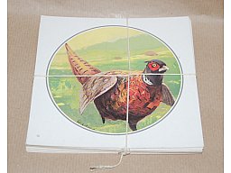 *** Wildmotive FASAN Scheiben 25x 14cmx14cm***