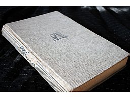 Was wird aus diesem Afrika ? - Erlebter Kampf um einen Erdteil Gustav Adolf Gedat (Buch aus 1938)
