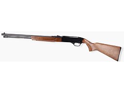 Winchester Modell 190 - .22LR - JSZ-Vogel