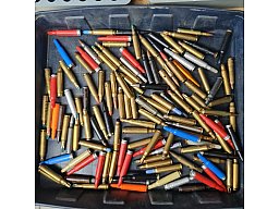 .223 Sammlerpatronen - Platz, PT, Exerzier - alle ohne Pulver