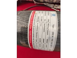 9,0l PCP Flache mit Ventil und Tasche