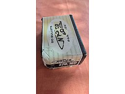 47 Nosler Partition Geschosse .270 Win / 160 gr