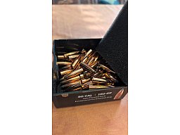 45 Speer Hot-Cor Geschosse .30 / 150 gr