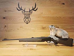 Browning Maral Composite SF .308Win - 51cm - M14x1 - Waffen Schlemmer Ingolstadt