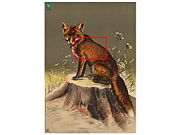 5 Stück SPIEGEL für DJV Scheibe Nr. 3 FUCHS sitzend nach LINKS 50m / 100m BJV DJV Schießnadeln