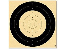 250 Stück Einsteckspiegel Nr. 8 Großkaliber Qualifikationsscheibe 25m Unterhebelgewehr B 50m 26x26cm