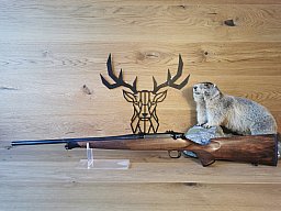 Steel Action HSL .308Win - 51cm - M15x1 - Waffen Schlemmer Ingolstadt