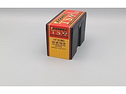 BARNES TSX #30700 Kaliber .50 - 647Grain