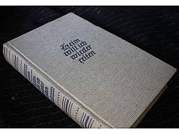 Heim will ich wieder reiten - Historischer Roman aus der Buchreihe 'Nordischer Geist' Albin Widen