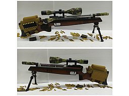 ANSCHÜTZ 2001 SuperAir __ Luftgewehr + ZF 8x56 + 2.Bein + Muni Tasche + __ MEGA UMBAU