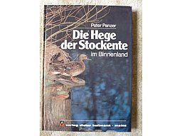 DIE HEGE DER STOCKENTE IM BINNENLAND