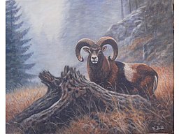 Jagdgemälde "MUFFLON" - Tier-und Jagdmaler - Thomas Bold