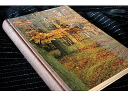 Solange noch die Wälder rauschen - Walter Merten