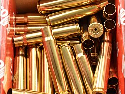 50 Hornady Hülsen .376 Steyr