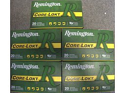 Büchspatrone Remington .300 Win.Mag