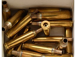 20 Hülsen Kaliber .17 Remington