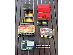 Munition. 223 Rem 145 Stk.