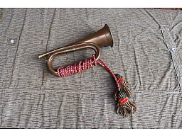Signalhorn Trompete Special Service group