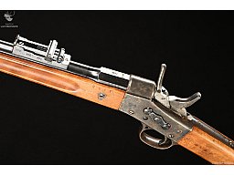 Carl Gustafs M1867/89 Kaliber 8x58R Krag