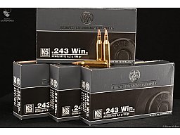 RWS Kegelspitz Kaliber .243Win