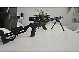 Ruger precision rimfire. 22