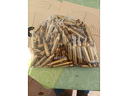 17 Remington Hülsen