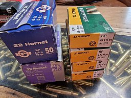 170 Schuss in .22Hornet (RWS, S&B und PPU)