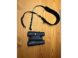 Zeiss Victory 8x40 T*P*