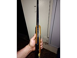 Daisy 880