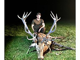 HIRSCHJAGD KEILERJAGD BARANJA KROATIEN