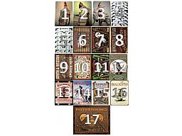 Blechschild / Smith Wesson / Ruger / Winchester / Remington / 17 Designs