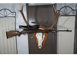 Mauser 66S Teleskopverschluss Kal 8x68S mit Zeiss 2,5-10x52 T* Deutsche Magnum