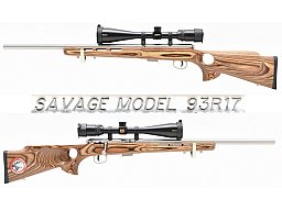 SAVAGE Stainless Repetierer Modell 93 BTVSS Kal .17 HMR mit Lochschaft & NIKON Monarch ZF 4-16x50 SF