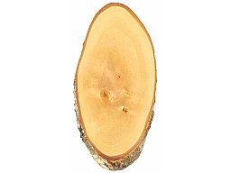 Trophäenbrett BIRKE natur ca. 42-45cm x 22cm Hirschschild Rotwild Hirsch Damwild Rothirsch Geweih
