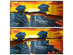 DIANA LG 25 __ Luftgewehr __ Kal. 4,5 (.177) Diabolo __ Sammler Zustand