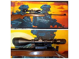 DIANA LG 24 __ Luftgewehr __ Kal. 4,5 (.177) __ Sammler Zustand __ LG + ZF 3-12x50 ++++