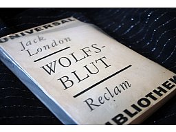 WOLFSBLUT - Jack London