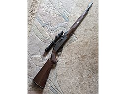 SLB 22lfb Remington