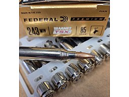 .243 Winchester /85grs. Federal No. P243K Barnes TSX Bleifrei