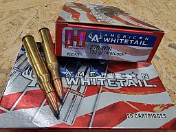 .270/130 grs. Interlock Hornady 20 stk. Angebot!! #8053# SSZ Berka