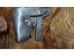 Radom VIS M 35 magazine