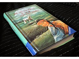 Ich ritt ein Pferd so weiß wie eine Wolke - Diane Lee Wilson