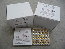 2.000 x SP Zündhütchen von GECO bzw. RWS, Art.-Nr.: 4152