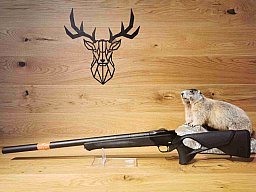 Blaser R8 Ultimate Silence .308Win - 42 cm - Waffen Schlemmer Ingolstadt