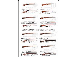 Poster " Anatomy : Rifles of WWII"