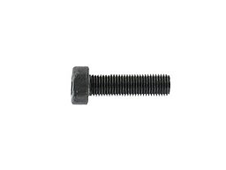 004754, ANSCHÜTZ, Zylinder Schraube ISO 4762 - M5 x 25 - 10.9, NEU