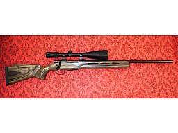 CZ550 Repetierbüchse .308W mit Bushnell Elite 3200, nicht Mauser 18 Sauer 100 Savage Winchester