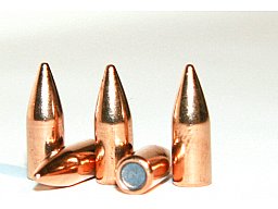 100 Stück S&B | Sellier&Bellot Geschosse #2902 | .224 / 5,69mm - 50grs / 3,24g FMJ | Vlm Vollmantel